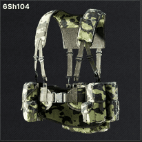 6Sh104
