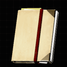 Doctor's Diary
