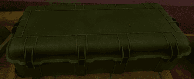 Firearms Box